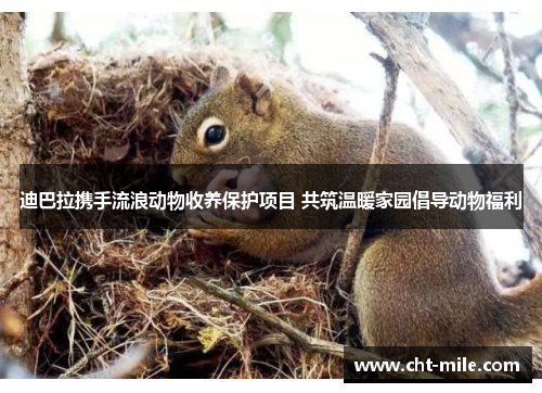 迪巴拉携手流浪动物收养保护项目 共筑温暖家园倡导动物福利
